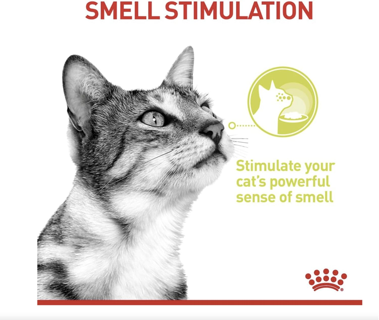 Royal Canin Sensory Smell in Gravy Adult Pouches Wet Cat Food 85 GMS 12 Pack image number 4