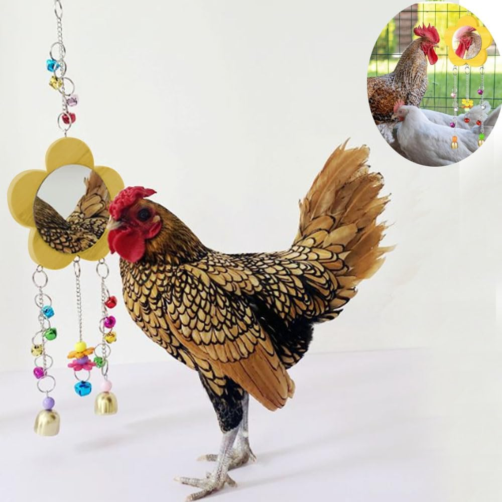 Armastuse Hanging Bird Mirror, Chicken Mirror, Large, Robust, Made of Durable Bird Cage Accessories, Hanging Bird Mirror, Chicken Mirror Accessories with Safe Scratch-Resistant Mirror image number 3