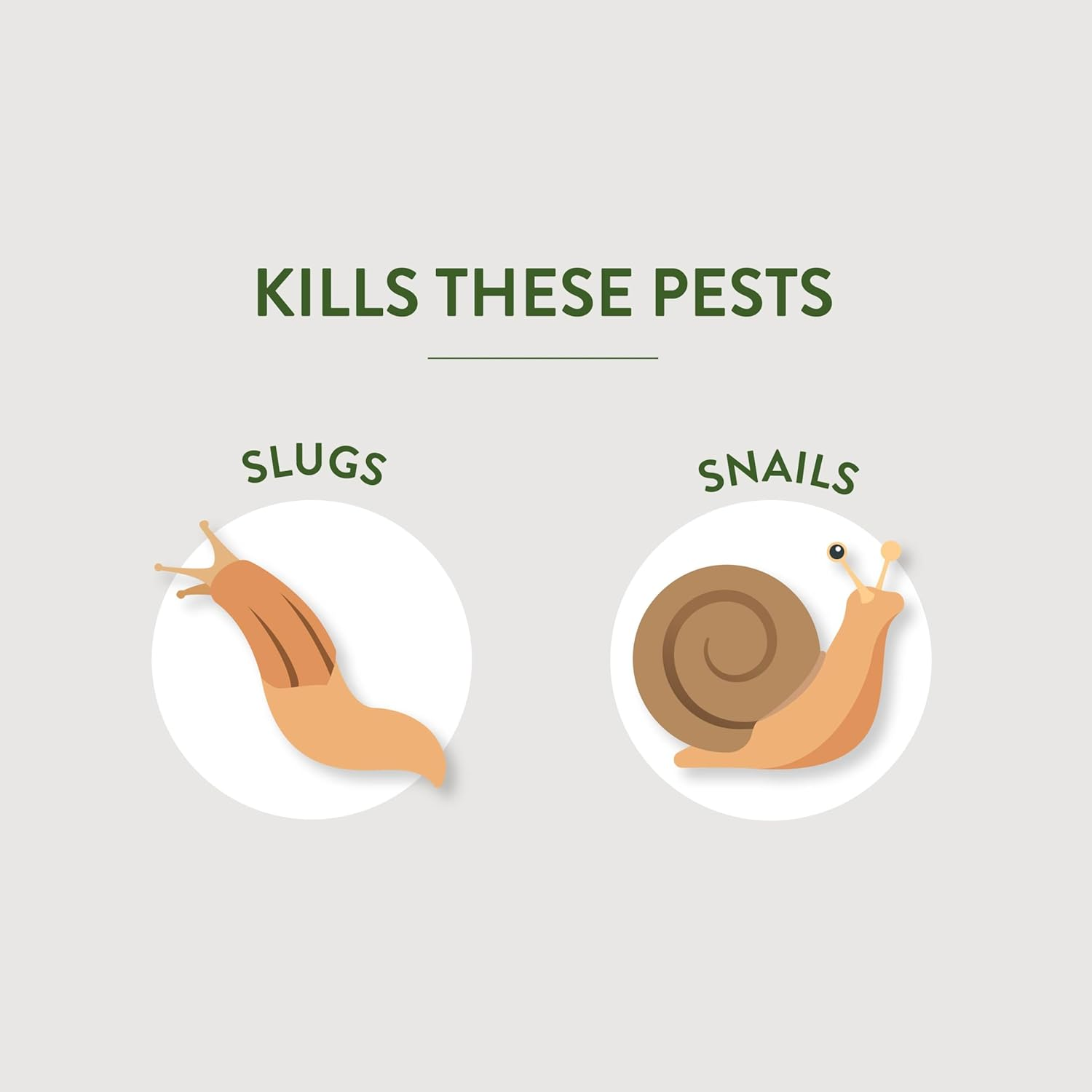 Garden Safeslug & Snail Bait, Granules, 2-Pound, 6-Pack image number 5