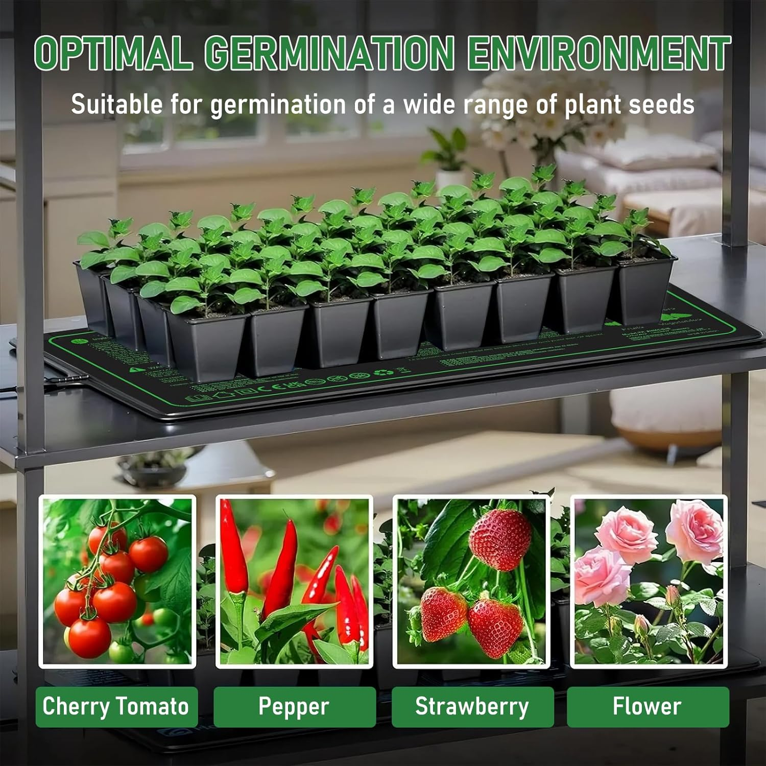 Seedling Heat Mat with Thermostat Controller, 30W Waterproof Heat Pad for Seedling Starting, Durable Seed Heating Mat for Indoor Growing & Seed Germination, Hydroponic Heating Pad 25X50Cm image number 6