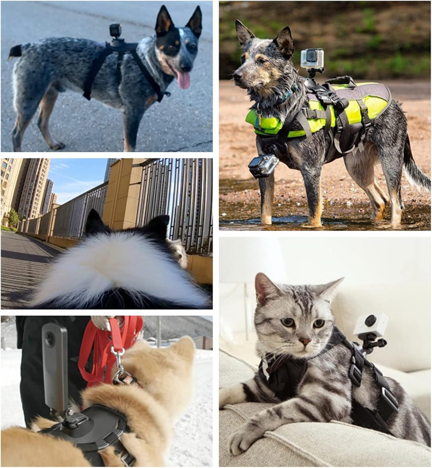 Dog Harness Mount for Gopro, Soft and Adjustable Dog Harness Vest with 2 Mouting Base Pet Chest and Back Fixation for Gopro Hero All Models, Suitable for Small Medium Large Dogs