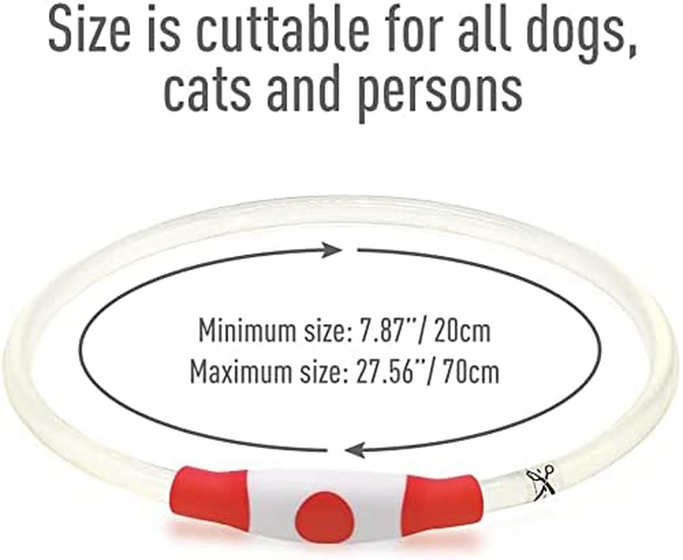 LED Dog Collar USB Rechargeable, Glowing Pet Dog Collar for Night Safety, 3 Glow Modes, Fashion Light up Collar for Small Medium Large Dogs (Red) image number 1