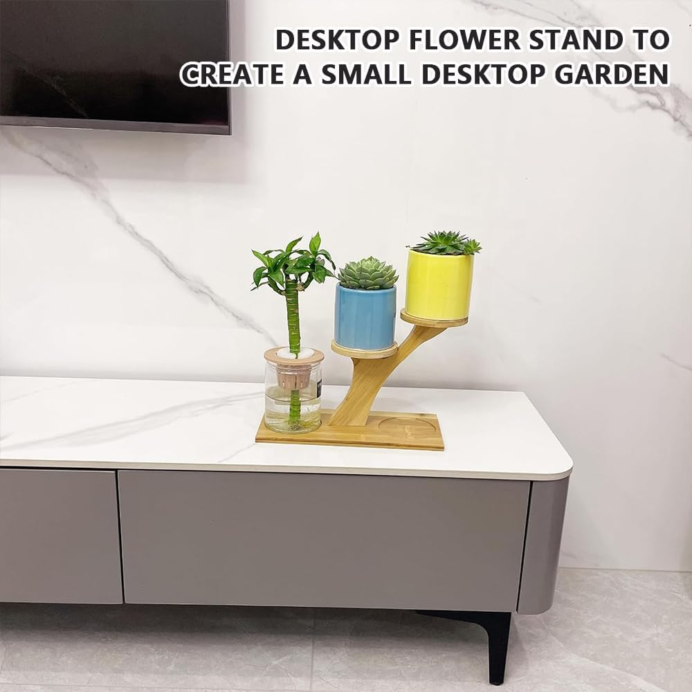 Window Sill Plant Shelf &ndash; Bamboo Desktop Plant Stand for Succulents, Herbs, and Flowers, Tabletop Plant Holder for Home, Office, Living Room, Bedroom Decoration image number 6