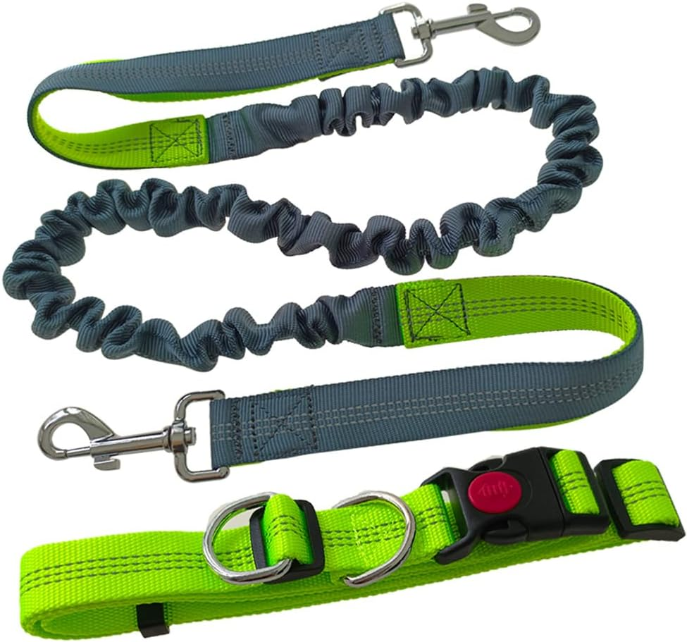 Aiqeer Hands-Free Dog Lead, Green Adjustable Waist Belt and Grey Stretchy Bungee Lead, Jogging Dog Lead with Reflective Stitching image number 2