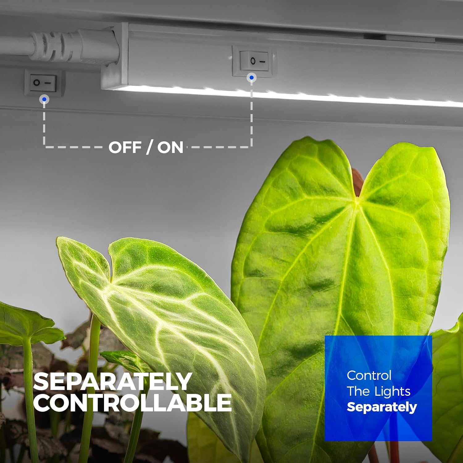 Barrina Grow Light for Indoor Plants, 5000K White Full Spectrum T5 Grow Light Strip, 1FT Plant Grow Light with On/Off Switch, Plug and Play, High PPFD for Indoor Plants, 6 Packs image number 1