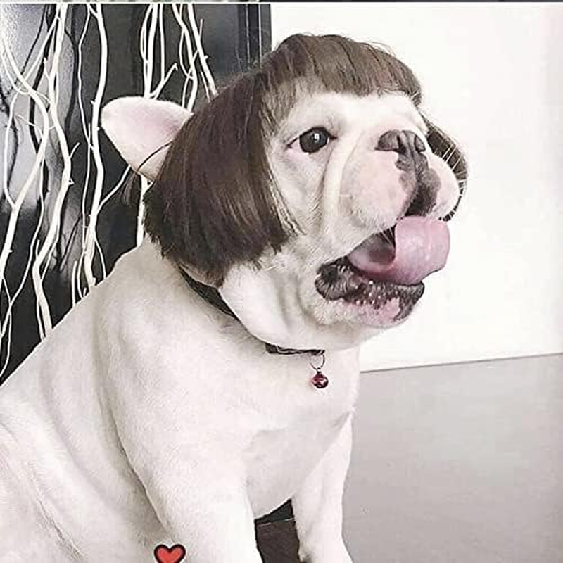 Funny Dog Cat Cosplay Wig, Pet Wigs for Halloween, Christmas, Parties, Festivals, Dog Wigs for Small Medium and Large Dogs (Black Brown Straight Hair) image number 4