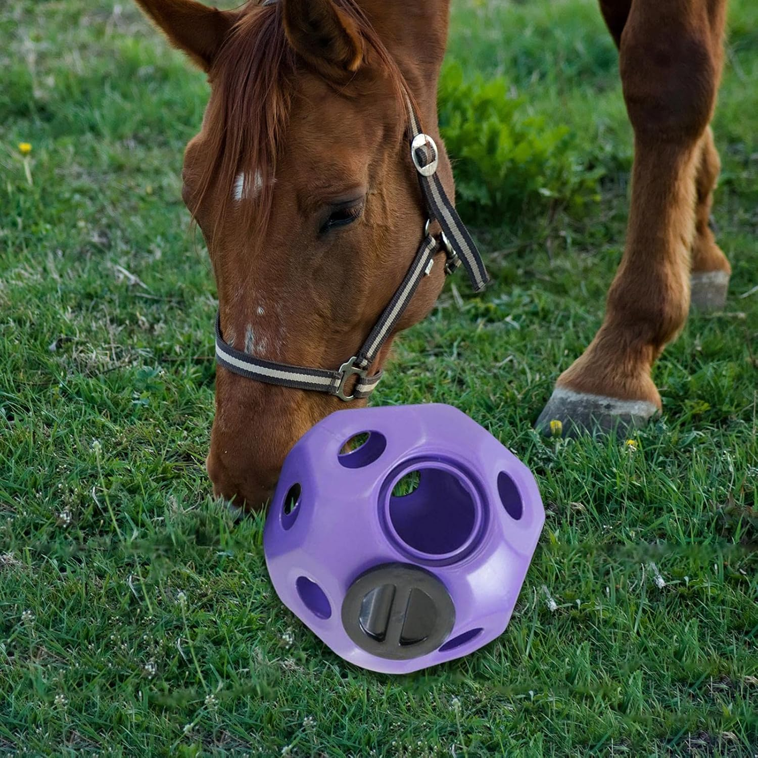 Fun Horse Treat Ball Hay Feeder Toys Horse Hay Ball Multipurpose, image number 6
