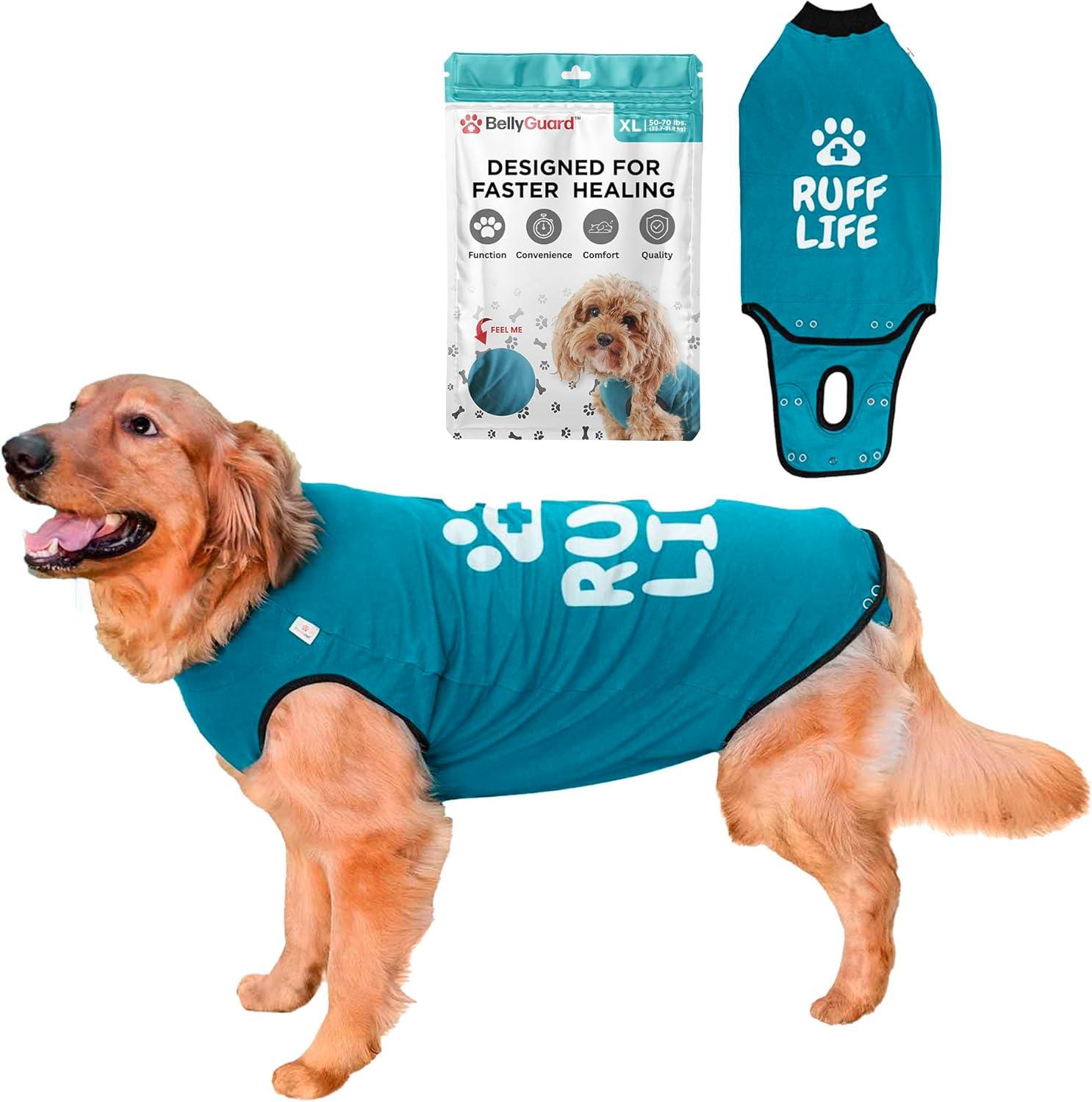 Belly Guard - Dog Recovery Onesie - Cone Alternative - after Surgery Wear (Medium, Grey)