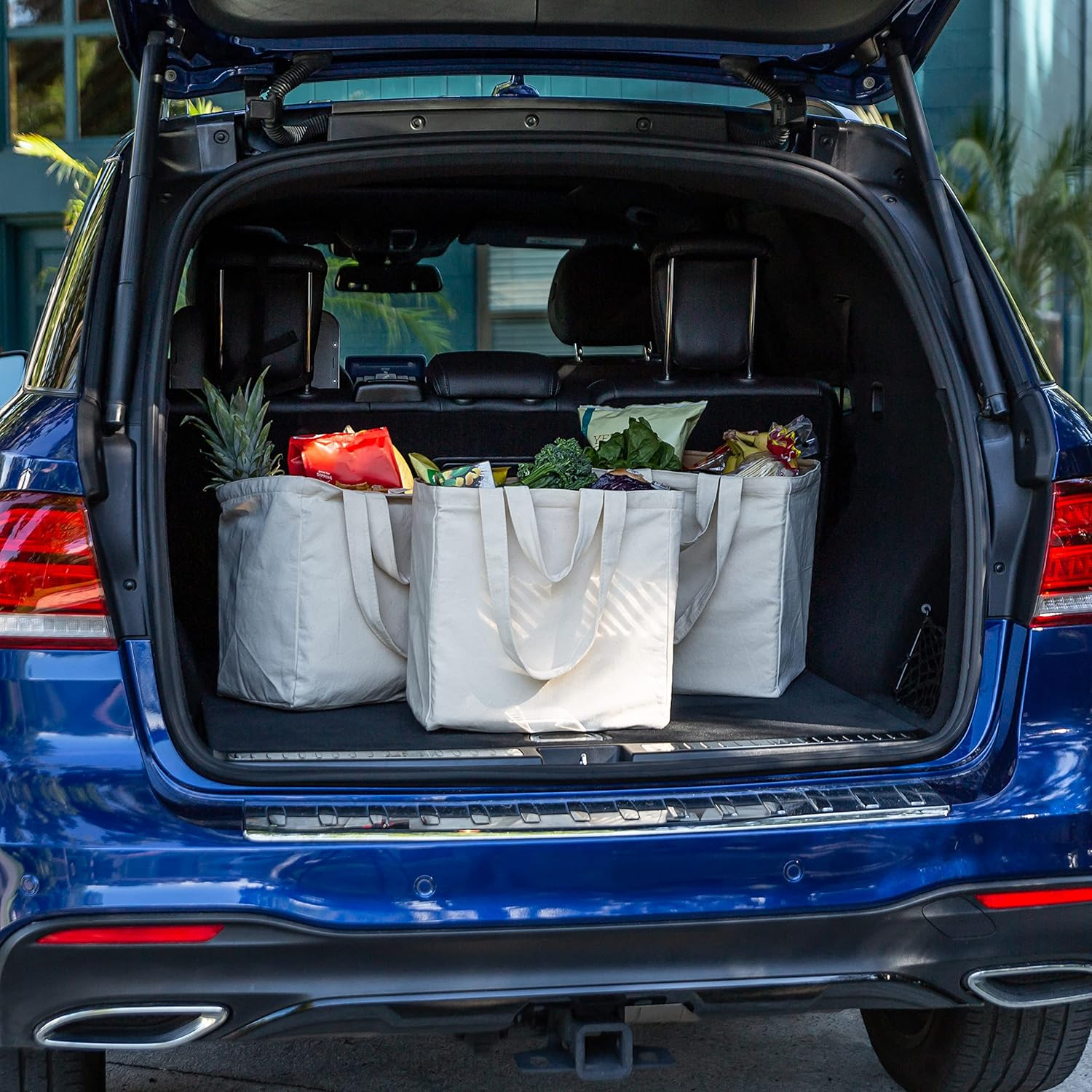 Veramia Canvas Grocery Bag 3Pc XL Set with Real Pockets, Long Shoulder Strap and Short Handle. Heavy Duty, Foldable, Washable image number 1