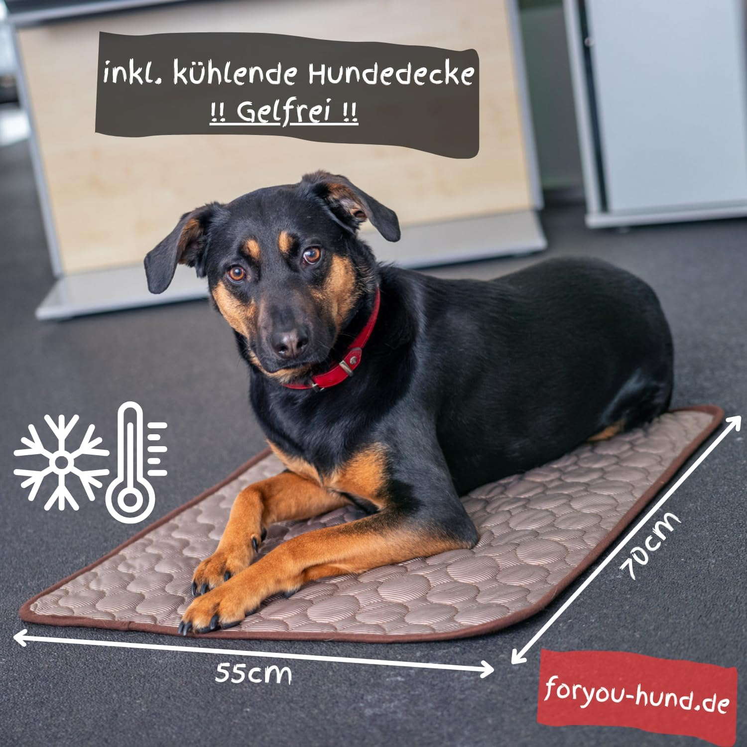 Foryou&reg; Car Boot Protector with Boot Sill Protection Including Cooling Mat &ndash; Universal Boot Protection Mat for Dogs Water-Repellent &ndash; Scratch-Resistant Car Blanket, Premium Quality, Made in Germany image number 6