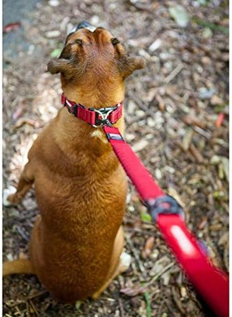 Ezydog Zero Shock Dog Leash 25" - Shock Absorbing Lead for Dogs, Reflective, Neoprene Handle, Soft Nylon Webbing (64Cm, Red) image number 6