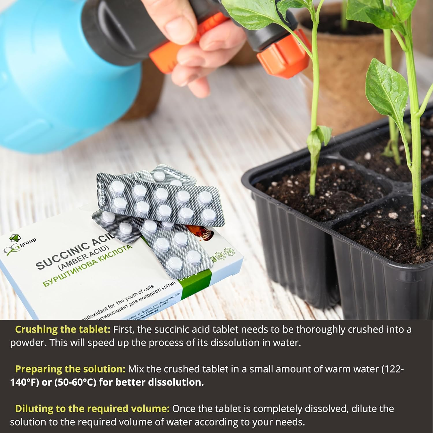 Succinic Acid Amber Acid 80 Tabs/0.25G