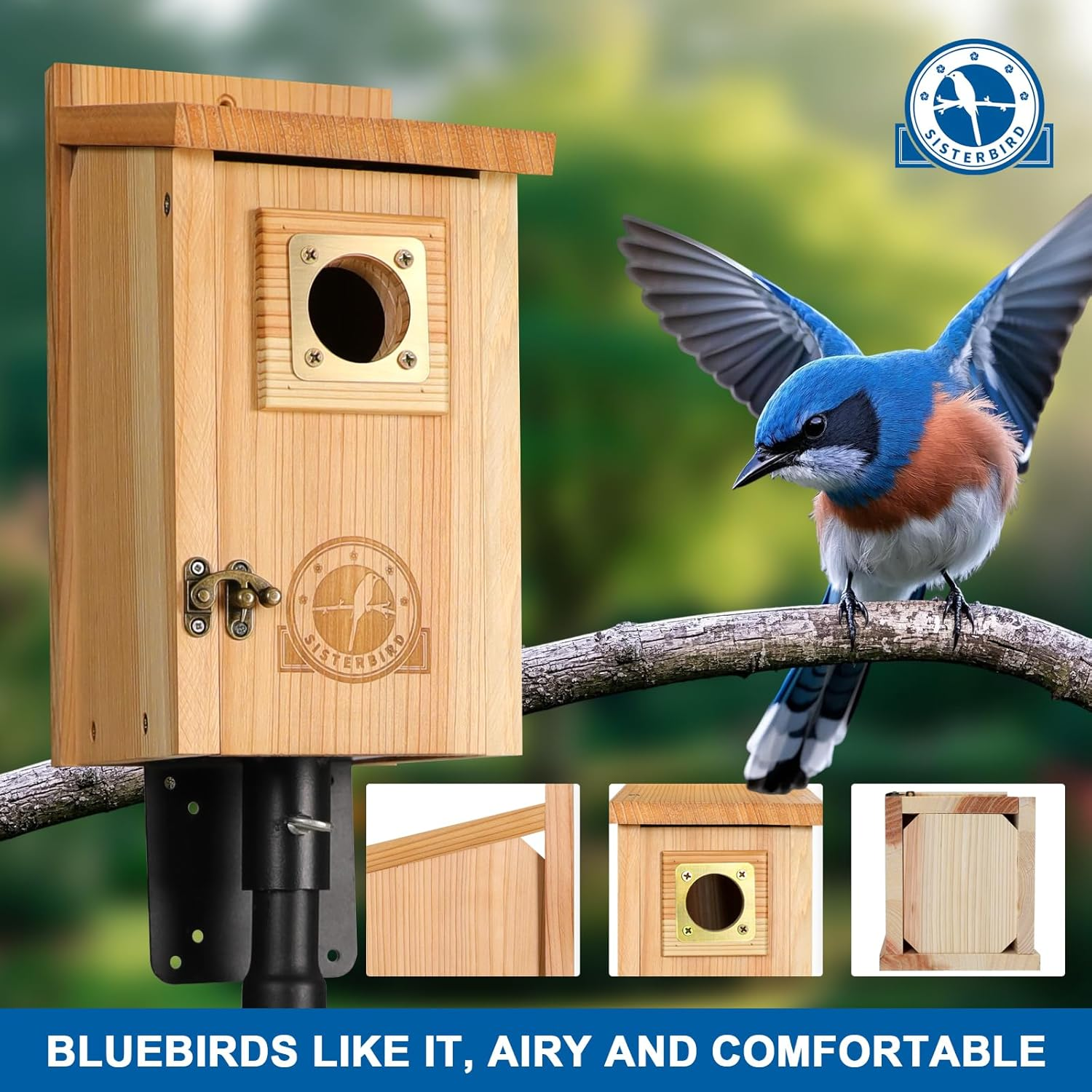 Bird Houses for outside Clearance with Copper Guard, Cedar Bird House Outdoor, Bluebird Finch Swallow Wren Chickadee