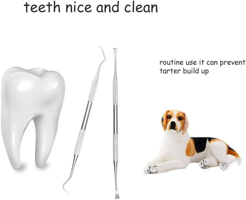 Dog Teeth Cleaning Tools Tarter Remover Canine Dental Scraper Scaler Tools Pet Tooth Cleaner Stainless Steel with Double Head (Style 1, One Size) - Style 3 image number 3