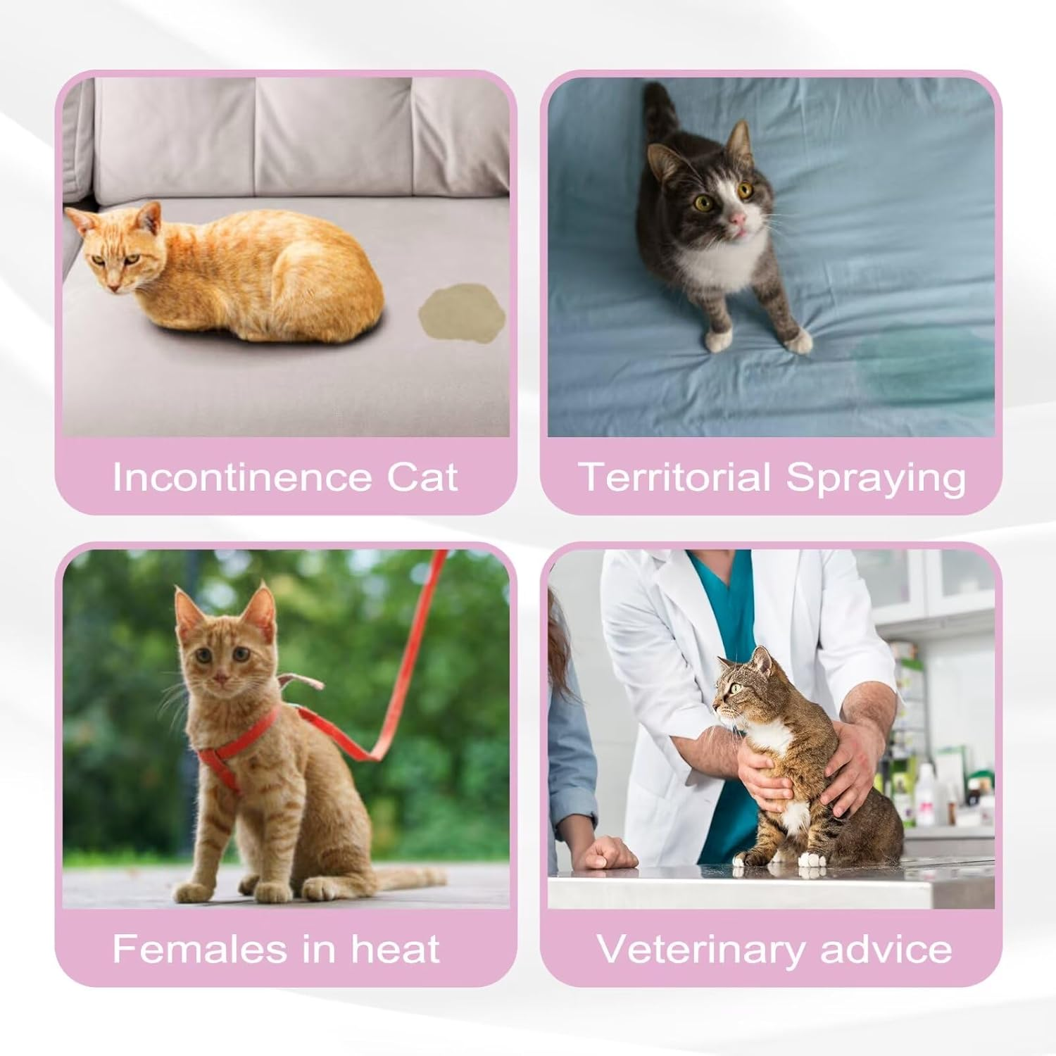 Paw Legend Cat Diapers for Female Cats Spraying Washable Reusable Kitten Diapers for Cats Incontinence Pet Diapers (3 Pack, Medium) image number 4