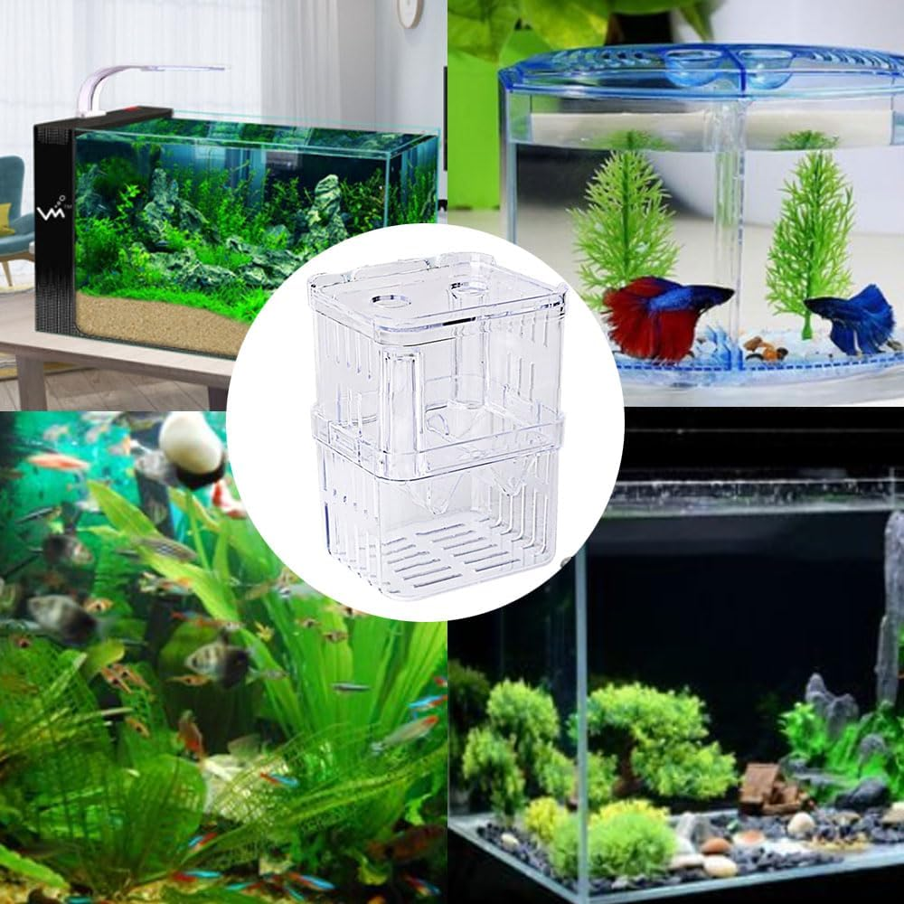 Armastuse Guppy Breeding Box for Aquariums, Transparent Acrylic Fish Tank Hatchery,Isolation Chamber, for Tank Multifunctional Incubator Isolation Aquarium image number 3
