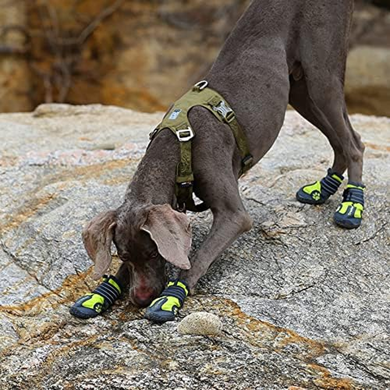 True Love Ultra Light 3M Reflective Dog Harness, X-Large, Army Green