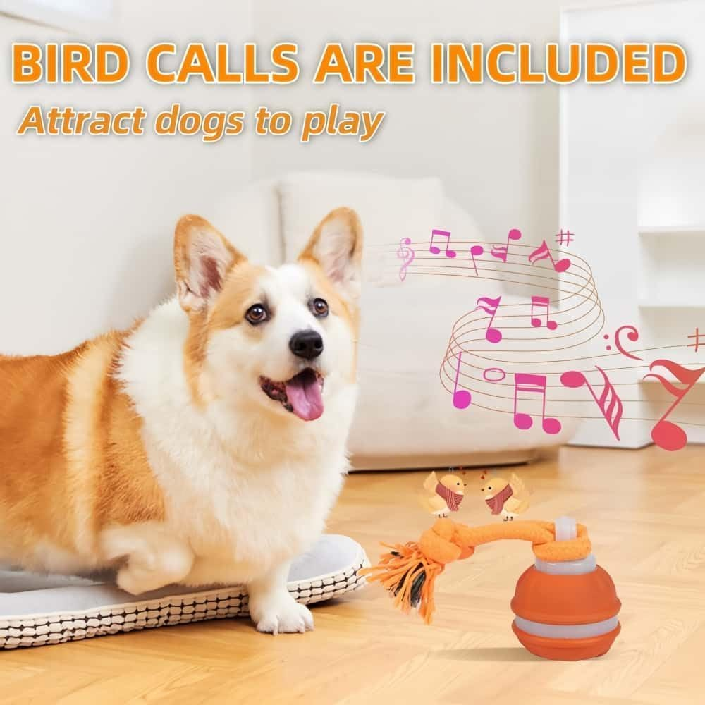 Interactive Dog Toys, Automatic Rolling Ball, Squeak Dog Toy, Touch Activated, USB Rechargeable Dog Ball Chew Toy with Fun Rope for Small/Medium/Large Dog Cat Indoor/Outdoor Boredom Enrichment - Blue-Ball image number 6