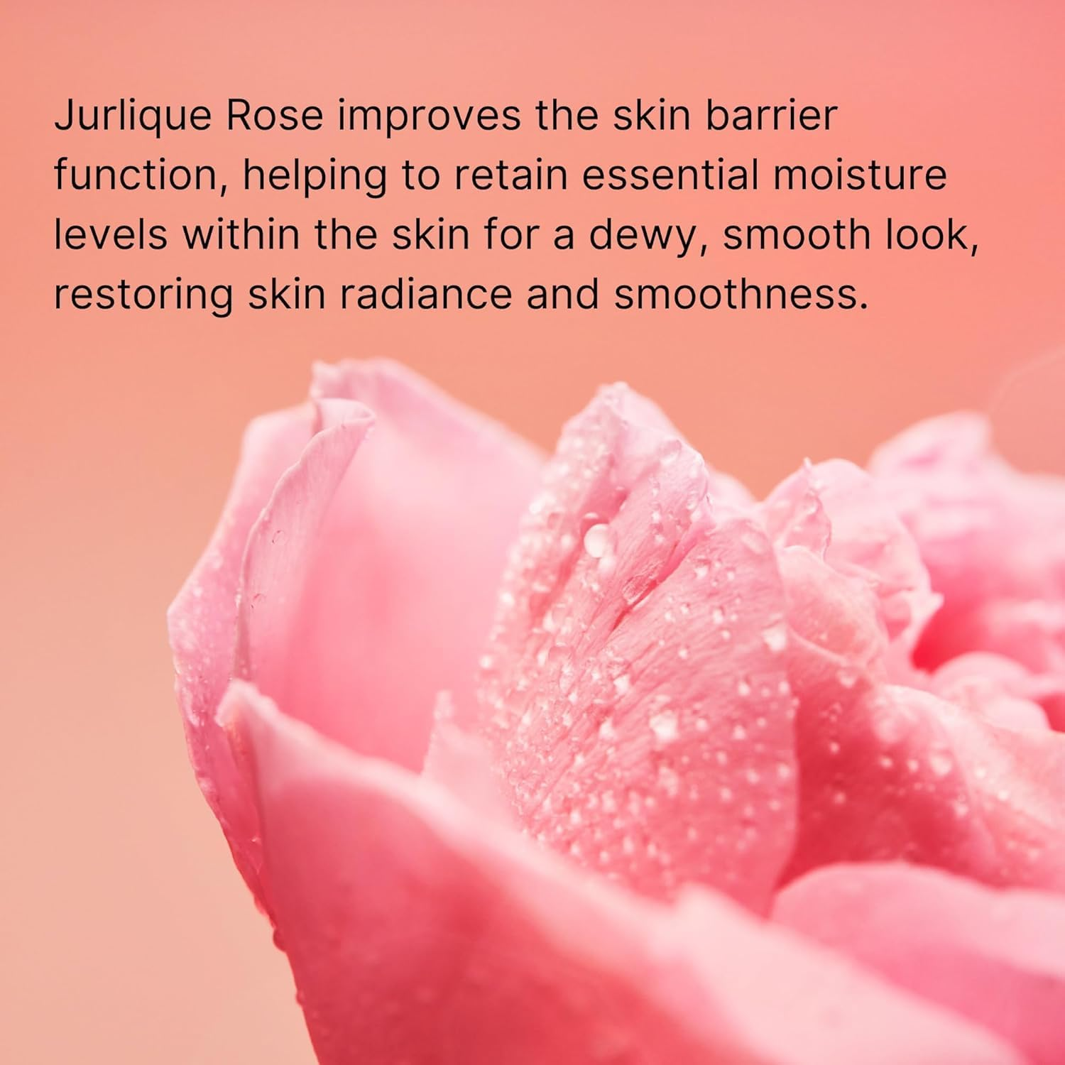 Jurlique - Rare Rose Cream 50 Ml (JUR117630) /Skin Care /50 image number 4