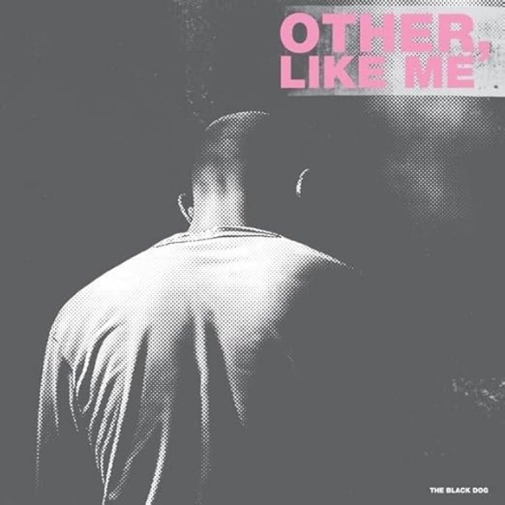 Other, like Me (CD)