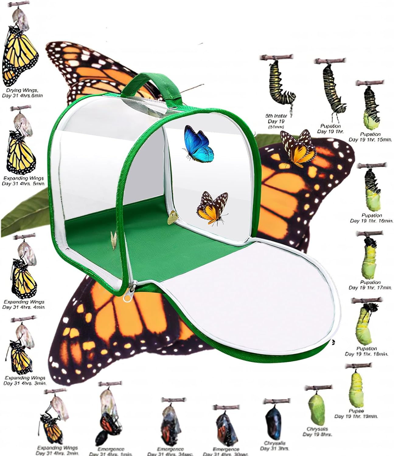 Insect Enclosure,Stick Insect Enclosure,Butterfly House for Caterpillars,Mesh Butterfly Habitat Cage,Butterfly Mesh Cage,Collapsible Insect Mesh Cage for Science Education,Caterpillar Enclosure image number 3