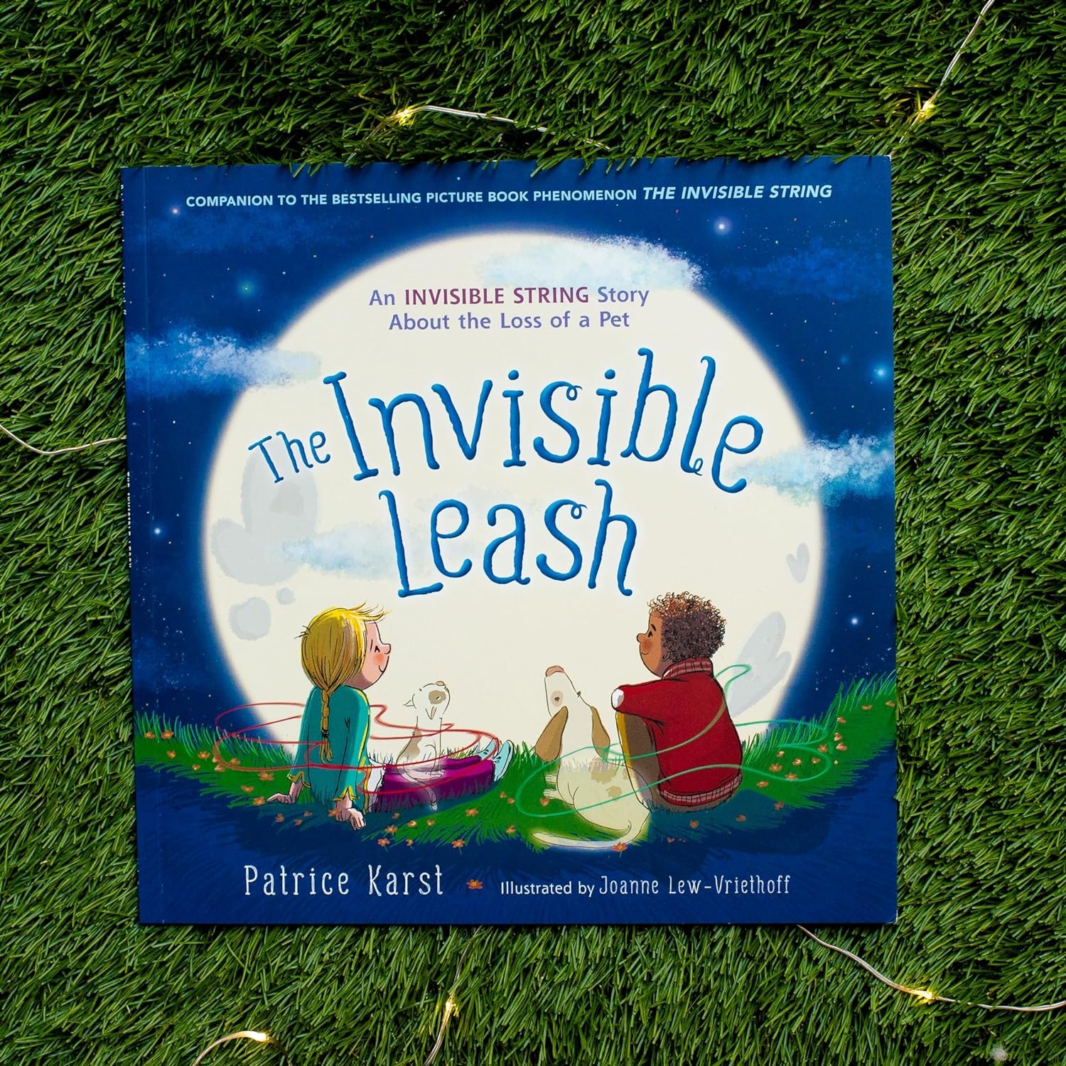 The Invisible Leash: a Story Celebrating Love after the Loss of a Pet: 3 image number 4