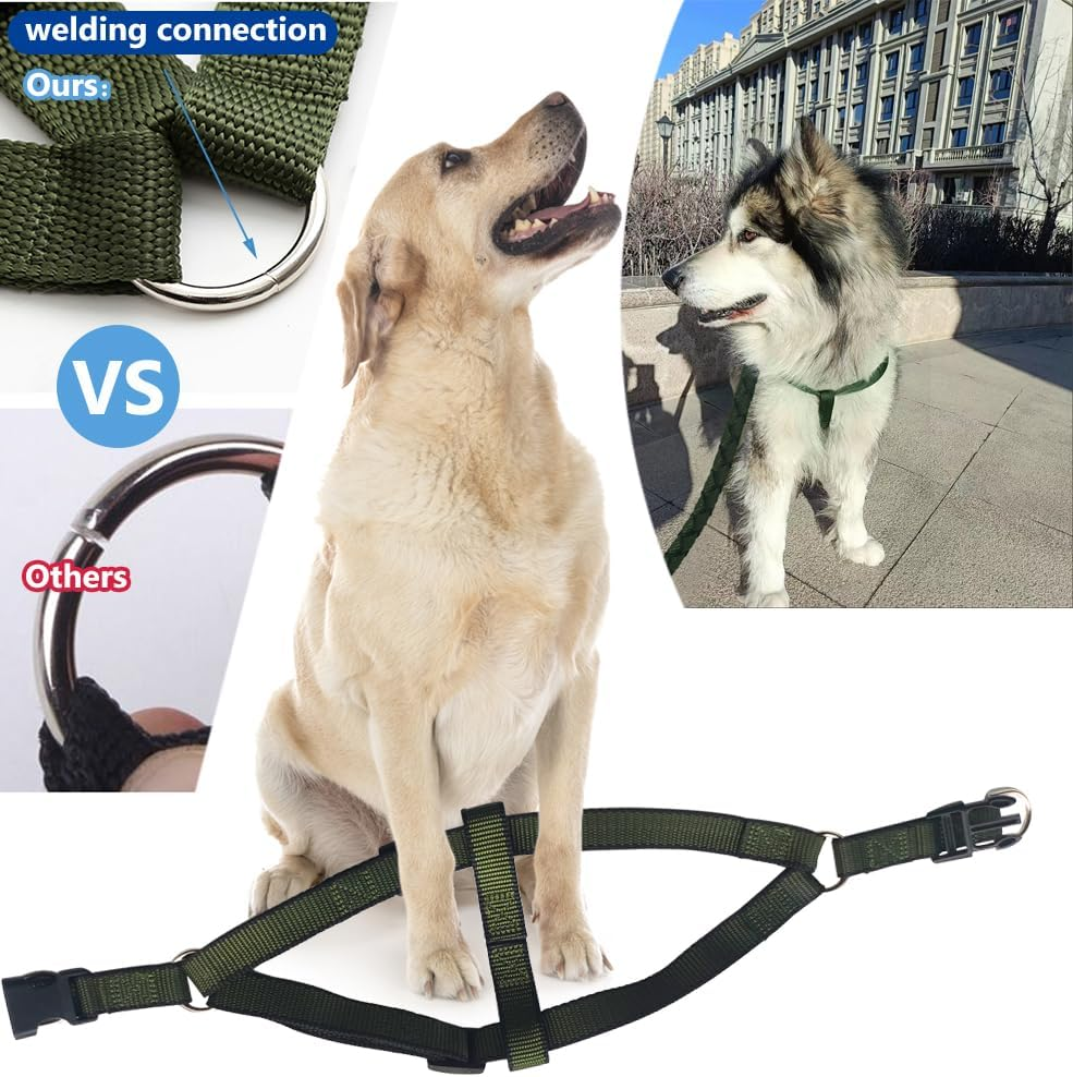 RINGSUN Dog Harness Collar Leash Set, No-Pull Adjustable Dog Lead Set with Easy Control Soft Handle for Small Medium and Large Dogs, S image number 3
