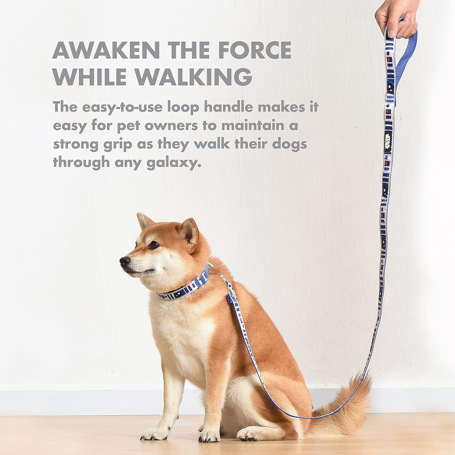 Star Wars for Pets R2D2 Droid 6 Foot Dog Leash | 6 Ft Dog Leash Easily Attaches to Any Dog Collar or Harness | R2D2 Blue Nylon Dog Leash 72 Inches for All Dogs,Multi,Ff16655 image number 5