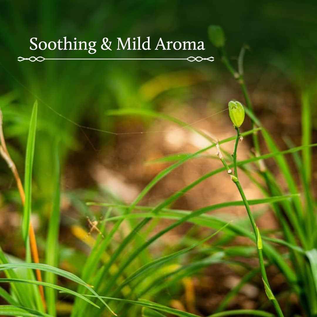 Blue Nectar Shubhr Steam Distilled Vetiver Toner Water & Cooling Calming Face Tonic Mist |Alcohol Free | Chemical & Preservative Free (100 Ml) image number 4