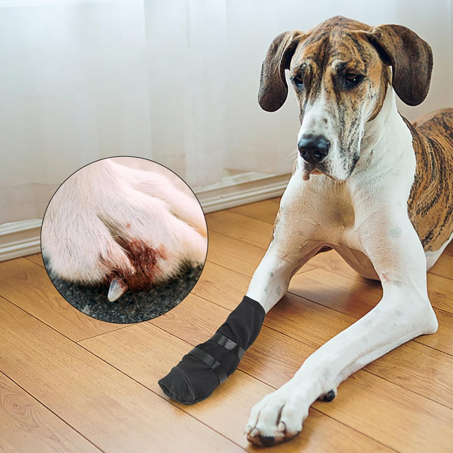 Dog Paw Wound Recovery Boot, Breathable Bootie for Injured Paw, Anti-Slip Shoe with Self-Adhesive Strap, Dog Paw Protector for Outdoor Walking & Keep from Licking Wounds image number 3