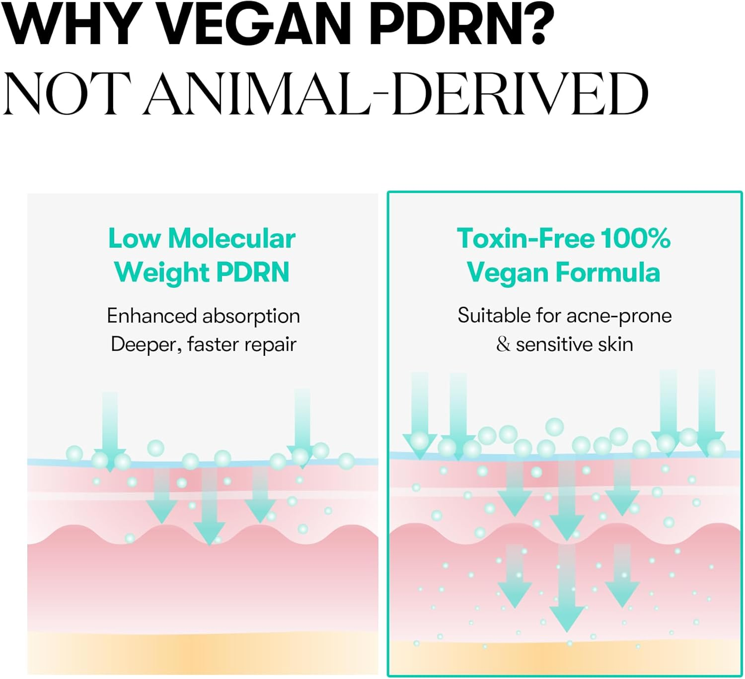 VT COSMETICS PDRN Capsule Cream 100, Hydrating Face Moisturizer with 100,000Ppm PDRN, Hyaluronic Acid, 9 Peptides, Firming & Plumping Nourishing Cream, Korean Skin Care (1.69 Fl. Oz.) image number 6