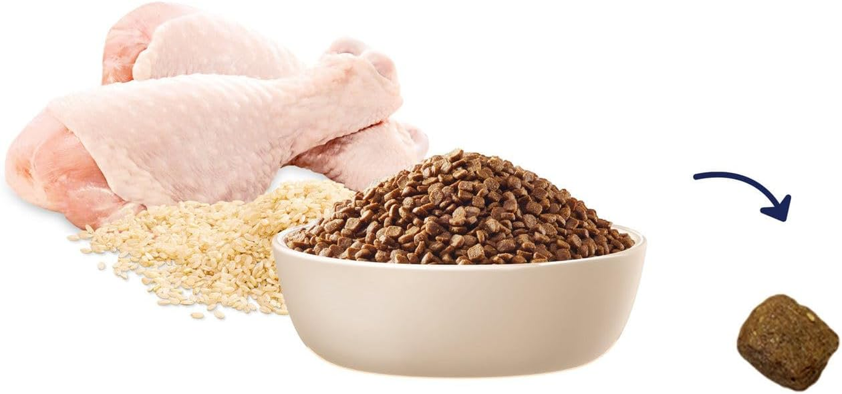 Advance Chicken & Rice Kitten Dry Food 500 G image number 1