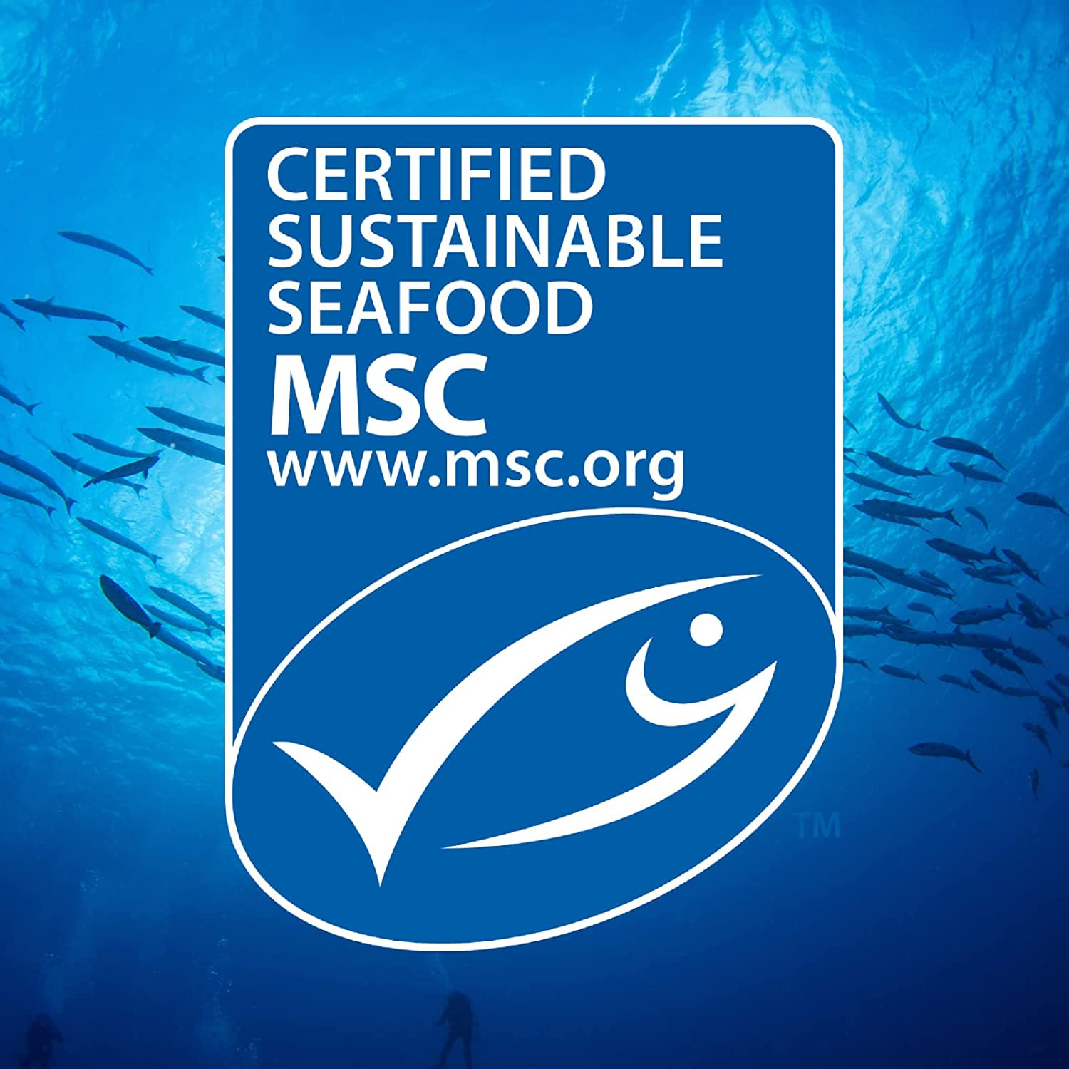 John West Tuna in Springwater 425 G, 12 Pack, Multicolor image number 1