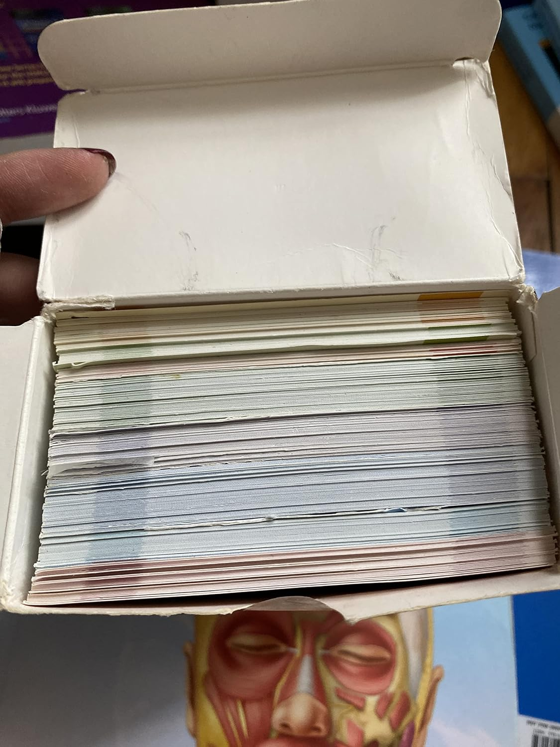 Rohen'S Photographic Anatomy Flash Cards: 2Nd Edition image number 1