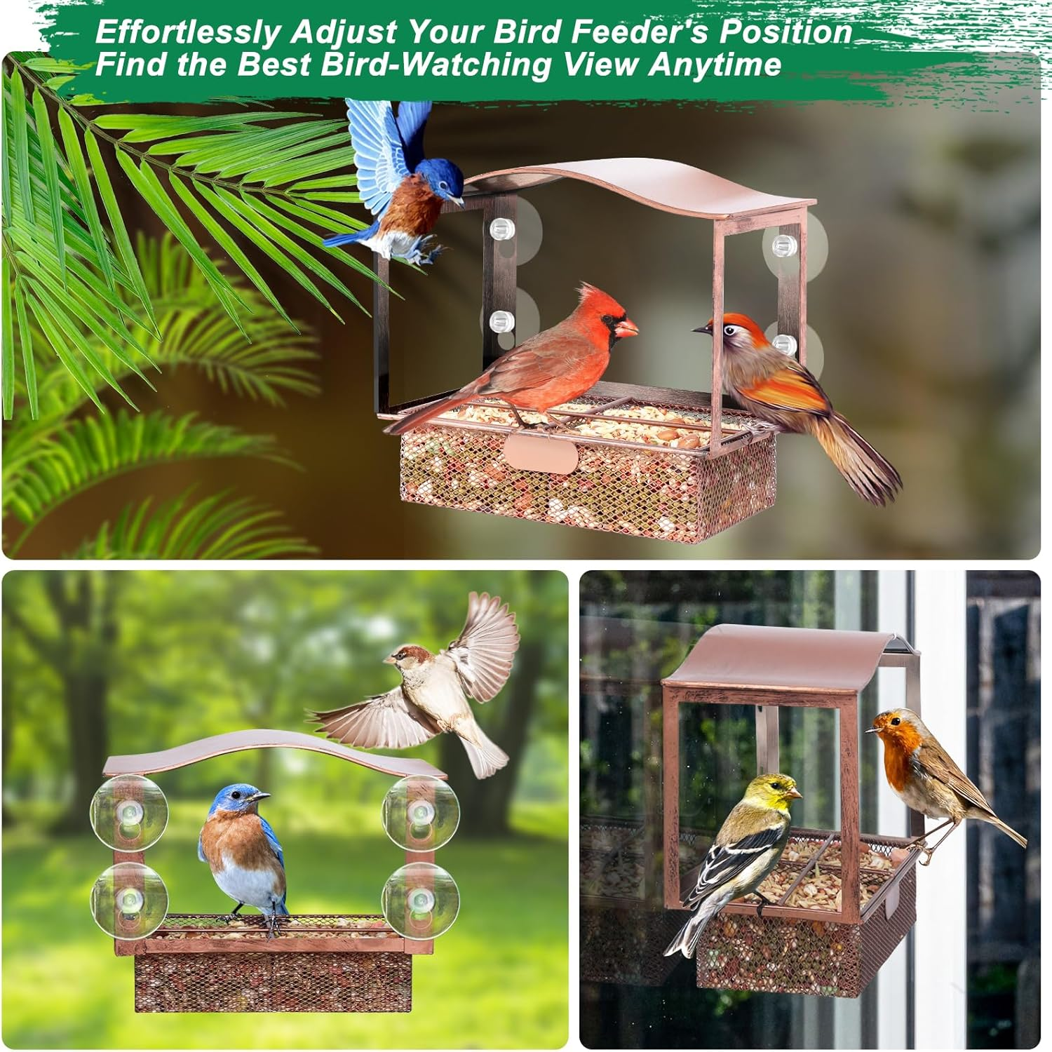 Lilyang Metal Window Bird Feeder, Window Bird Feeders for outside with Strong Suction Cup, Wild Bird Watching Gift with Superb Bird-Watching View image number 6