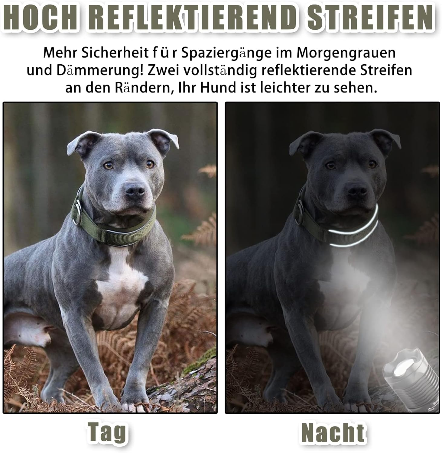 Soft Neoprene Padded Dog Collar (4 Cm Wide) Reflective Dog Collar with Robust Nylon & Pull Stop, Comfortable Pull Collar Dressage Collar for Small Medium Large Dogs Walking L, Army Green image number 5