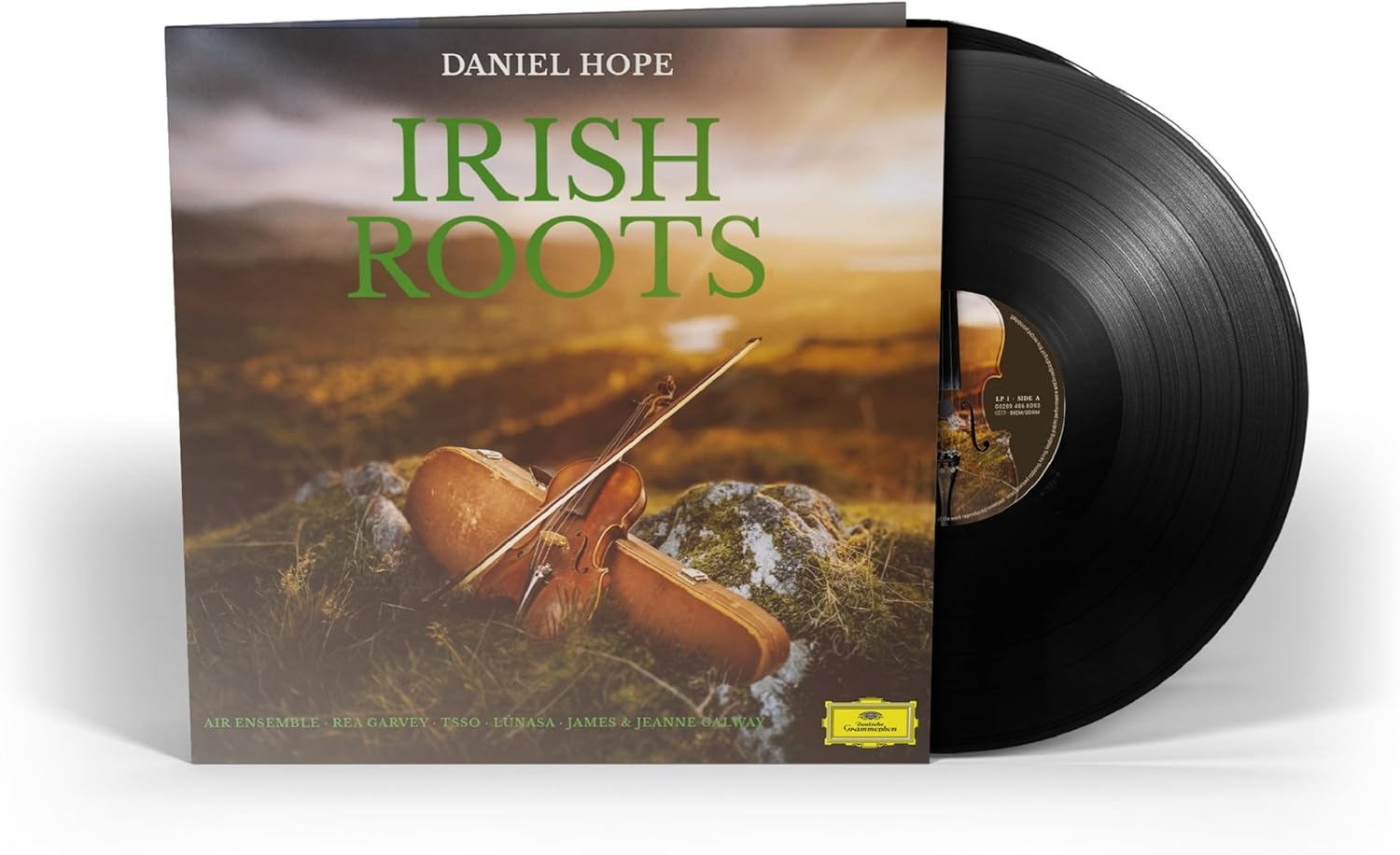 Irish Roots image number 1