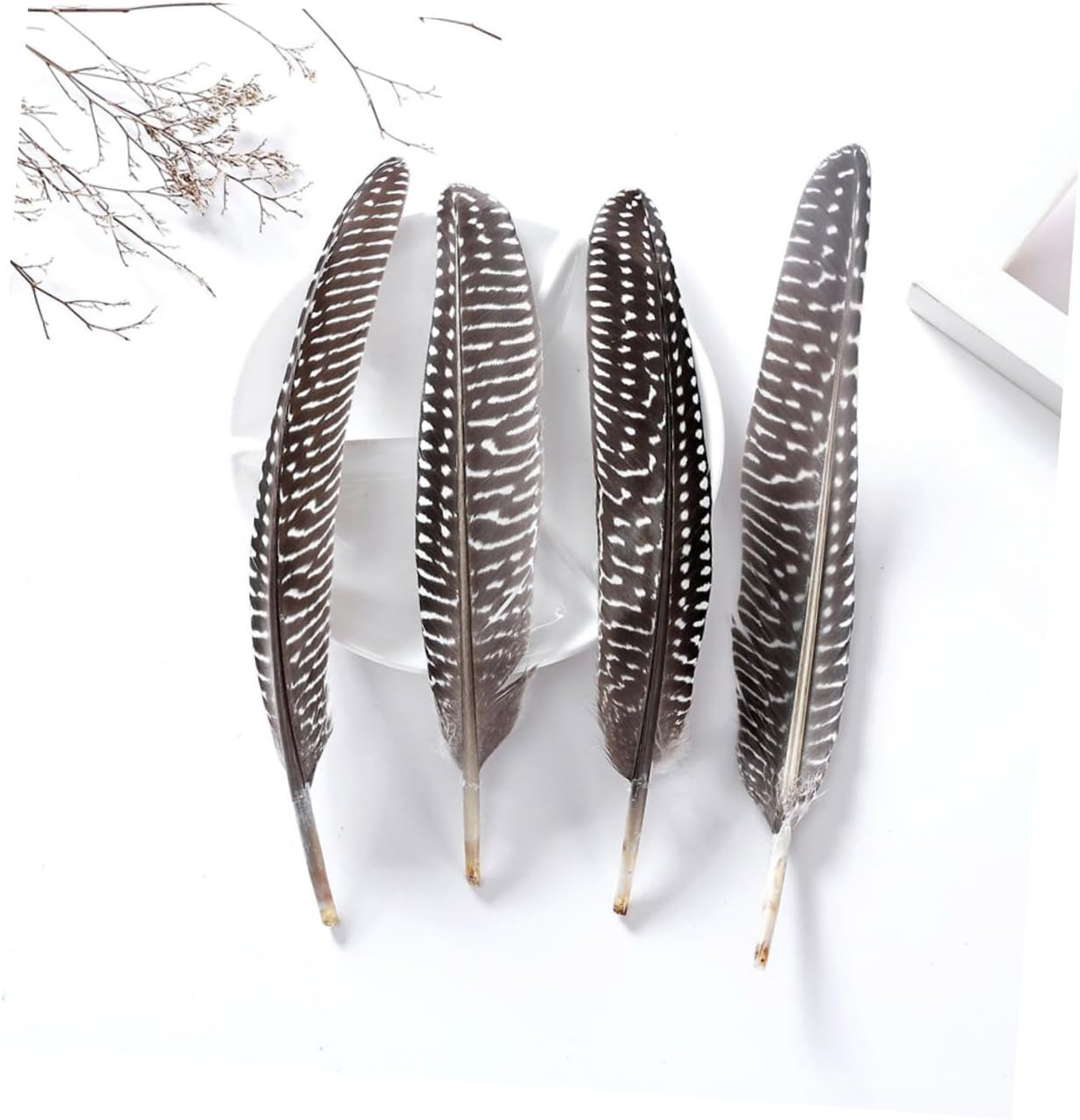 Operitacx 50Pcs Pheasant Feathers Party Decor Natural Feathers Decorate Fan Pearl image number 6