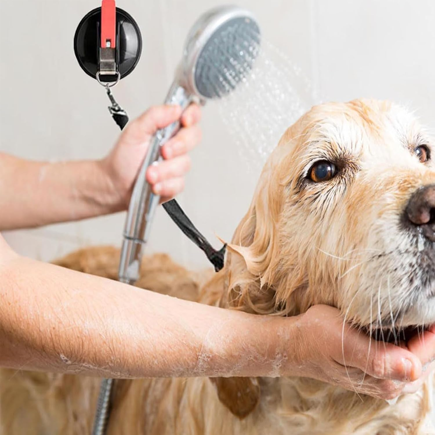 Zalizr 2 Pcs Heavy Duty Window Suction Cups, Vacuum Suction Cup Hangers with Securing Hooks, Camping Essentials Anchor for Car Side Awning, RV, Boat, Truck