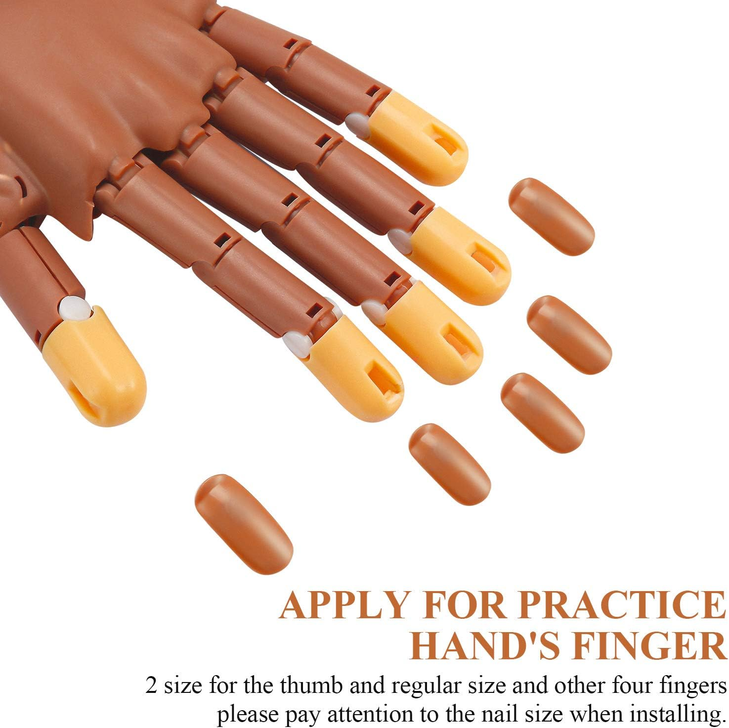 Blulu 400 Pieces Replacement Refill Nail Tips False Nail Tips for Flexible Nail Training Hand Practice Fake Nail Hand Nail Display Manicure Supply DIY Nail Practice (Brown) image number 5