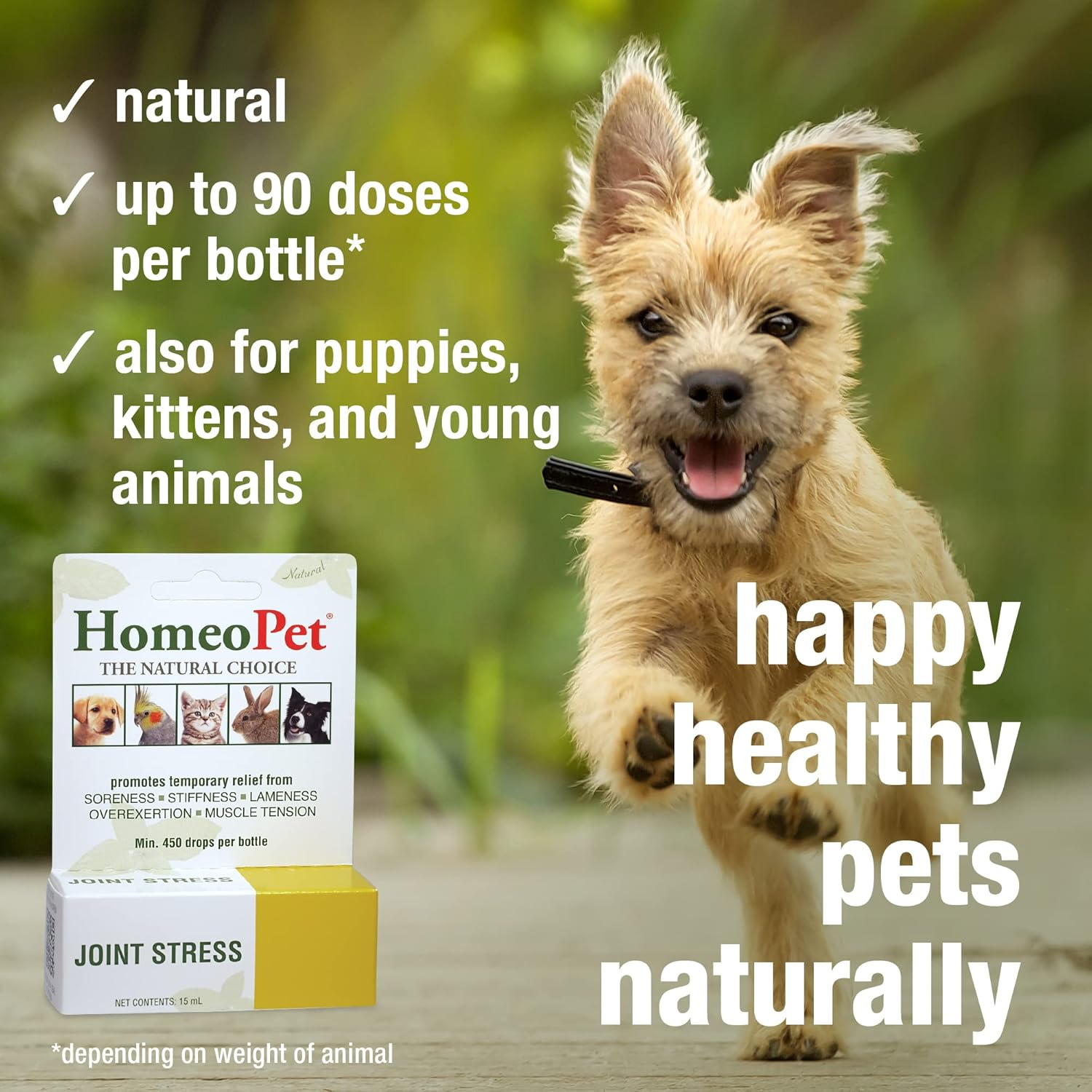 Homeopet Joint Stress, Joint Support for Dogs and Cats, Liquid Pet Meds to Support Healthy Joint Movement, 15 Milliliters image number 2