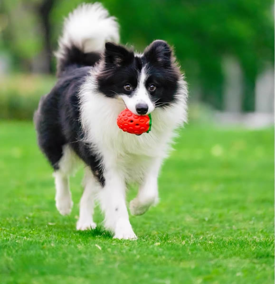 Zovinx Interactive Dog Toy, Natural Rubber Strawberry Food & Treat Puzzle Dog Chew Toy for Teeth Cleaning and IQ Training, Slow Feeder Dispenser Pet Ball for Small, Medium, Large Breeds, Face & Body image number 2