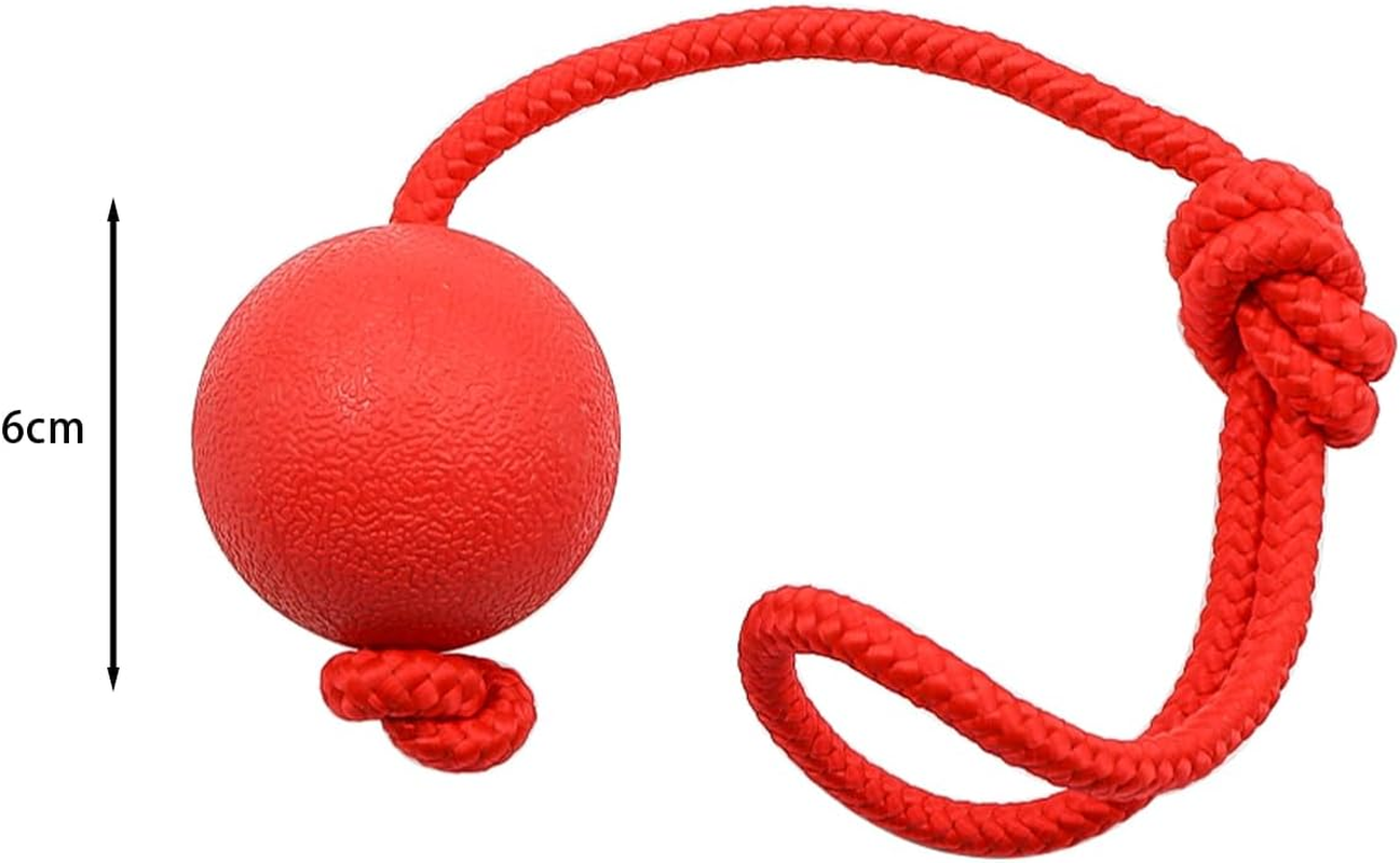 Sarini Pack of 2 Elastic Dog Game Ball with Rope,Natural Rubber Throwing Ball, Dog Ball with Cord, Pet Ball Game with Rope for Large and Small Dogs, Wide Throws, Catching image number 5