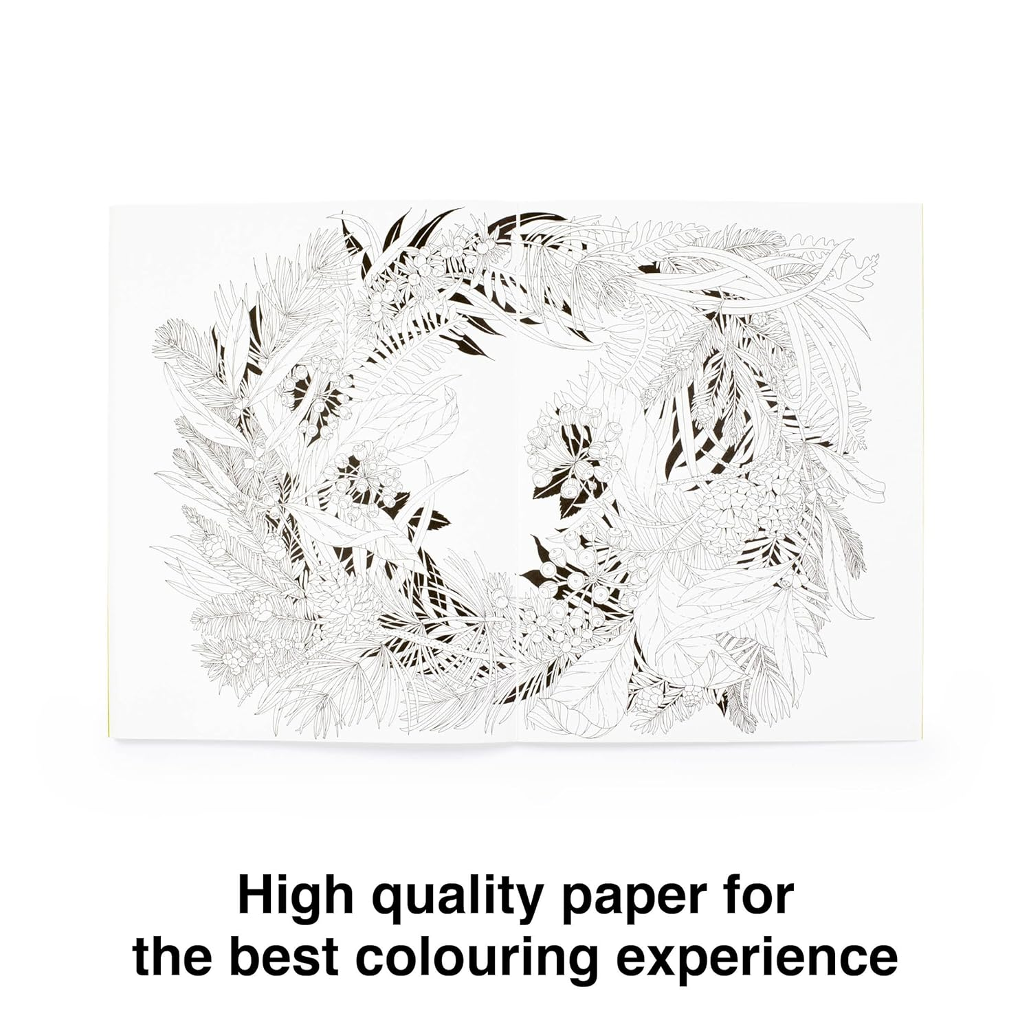 Leila Duly'S Walk in the Woods: an Intricate Colouring Book image number 5