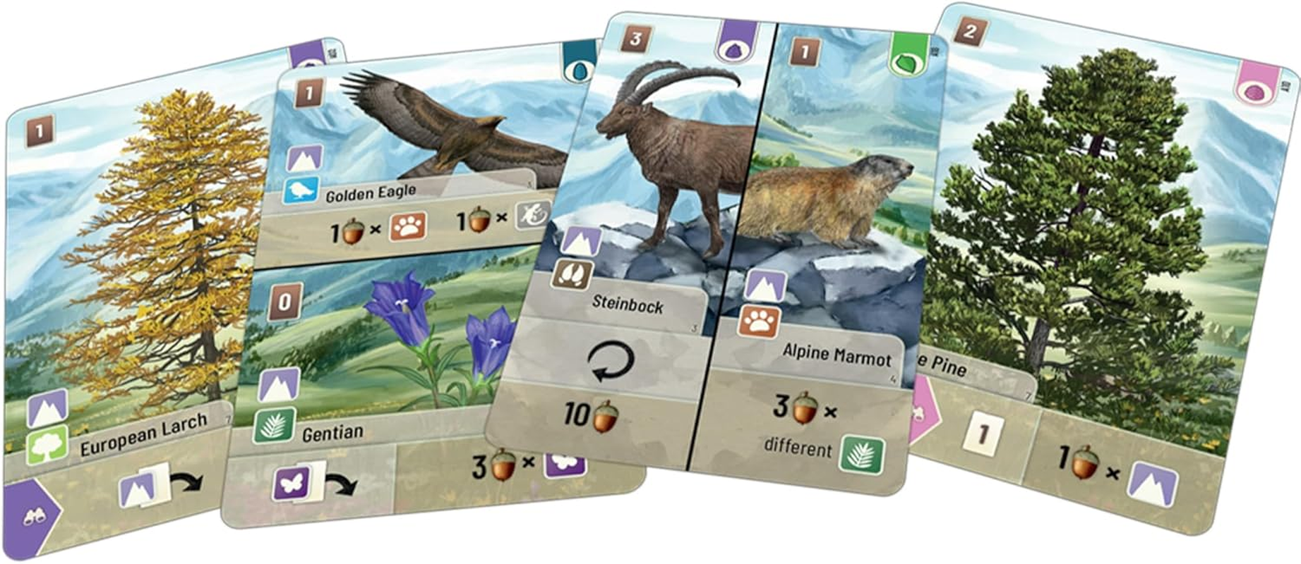 Lookout | Forest Shuffle Alpine Expansion | Card Game | Ages 10+ | 2-5 Players | 60 Minutes Playing Time image number 1