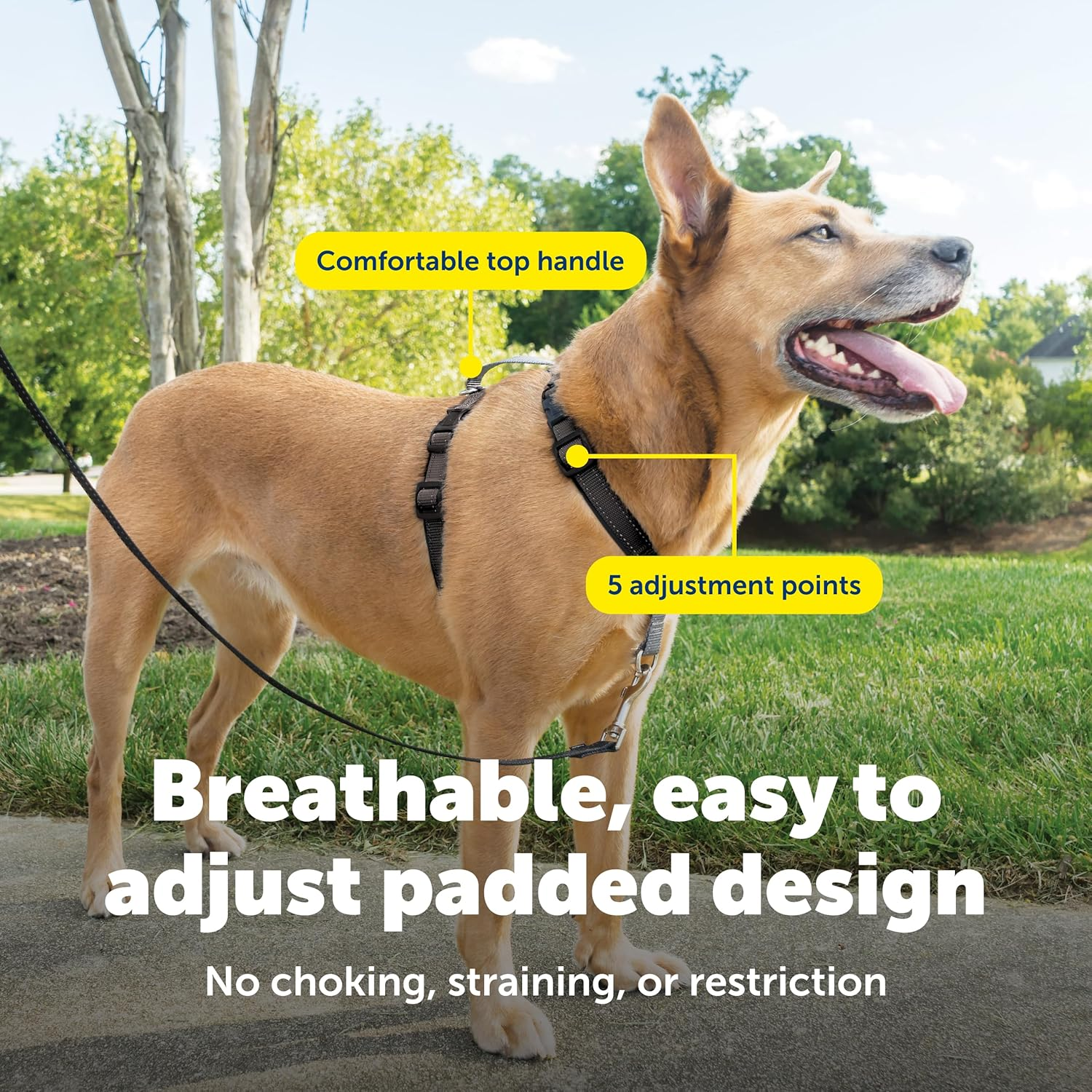 Petsafe 3 in 1 Dog Harness - No Pull Solution for Dogs - Reflective Dog Harness - Front D-Ring Clip Helps Stop Pulling - Comfortable Padded Straps - Top Handle Enhances Control - Black - Medium image number 1