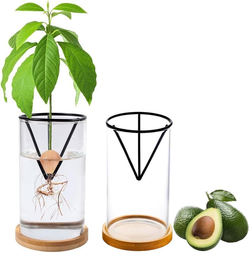 Avocado Tree Planter Pot, 2 Pack Avocados Tree Growing Kits, Avocados Growing Vase Wooden Base with Metal Triangle Bracket and Bamboo Base for Grow Avocado Seeds, Herbs and Small Trees image number 5