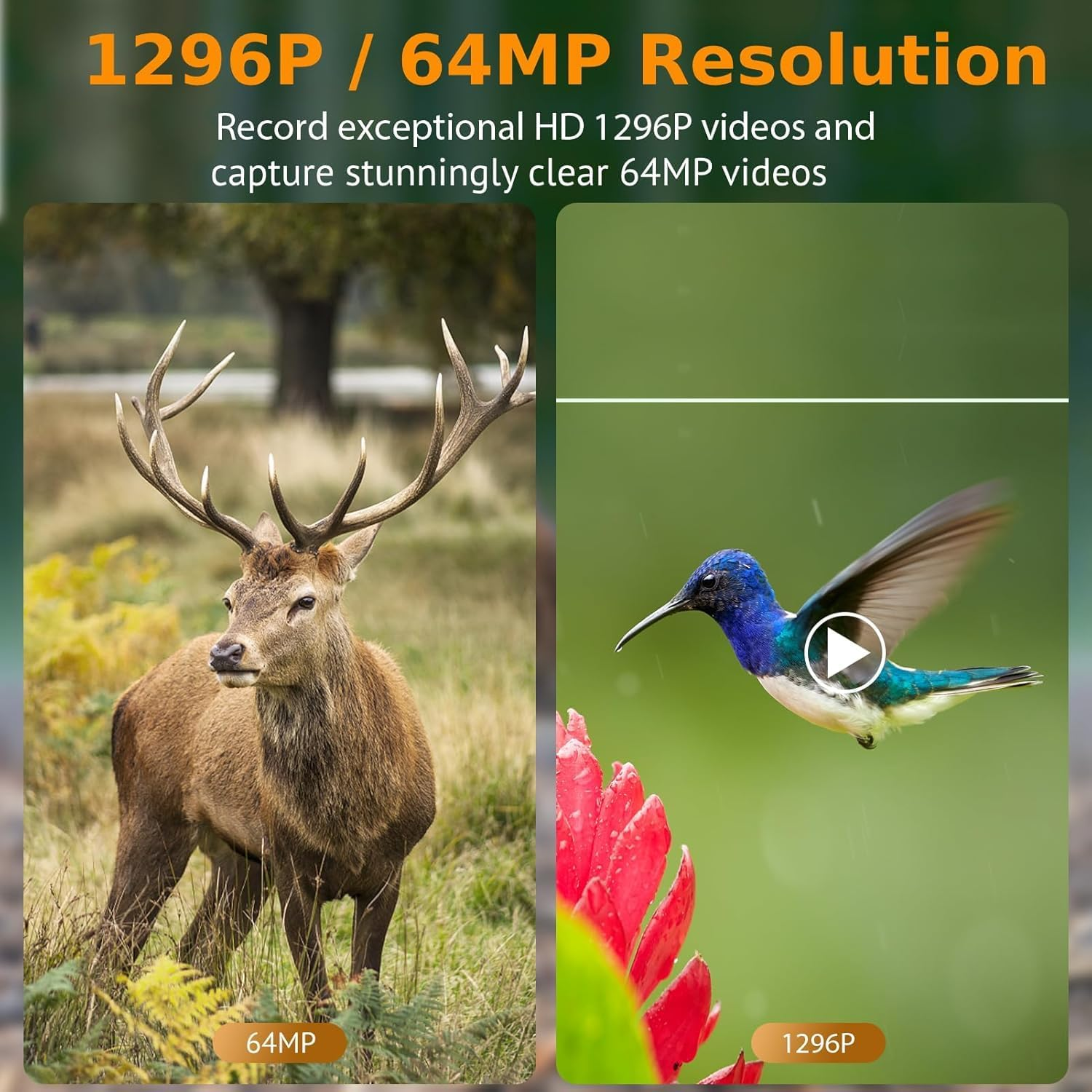 Game Trail Camera No Glow 64MP 1296P H.264 MP4 Video Night Vision 0.1S Trigger Motion Activated Easy Operate Waterproof Wildlife Hunting Deer Cam Password Protected Photo & Video Model Time Lapse image number 3