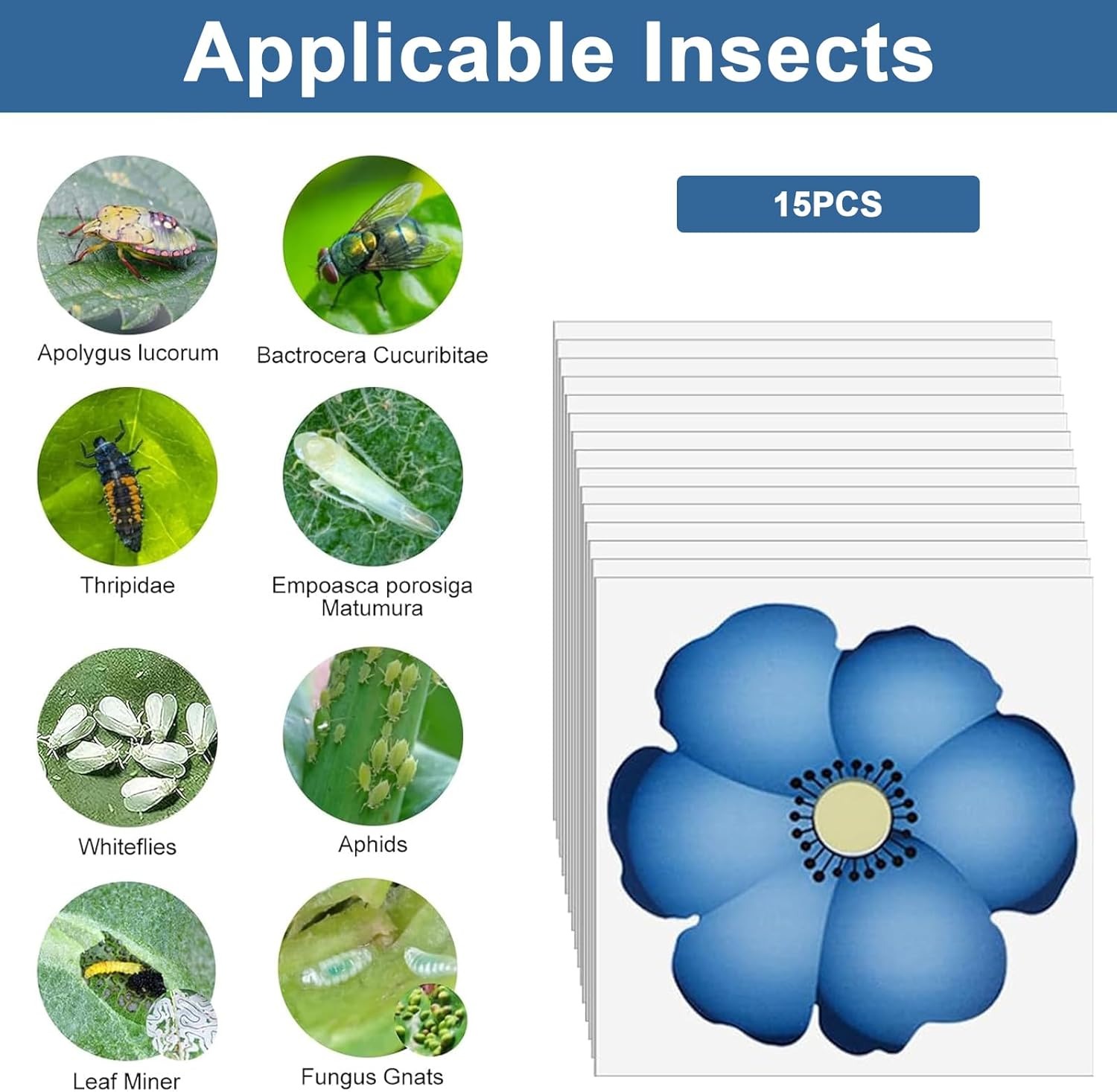 Tuoyi 15 Pieces Window Fly Traps Killer Stickers, Floral Pattern Design Sticky Fly Catcher for Indoor Houseflies Fly Gnat for Indoors for Kitchen and Dinning,
