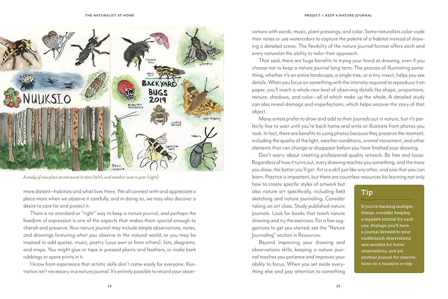 The Naturalist at Home: Projects for Discovering the Hidden World around Us image number 4